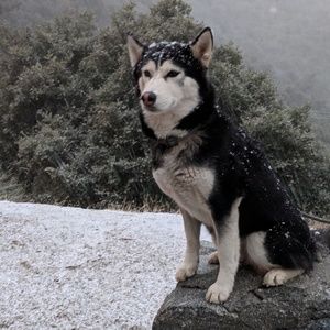 Meet your Posher, Ellen